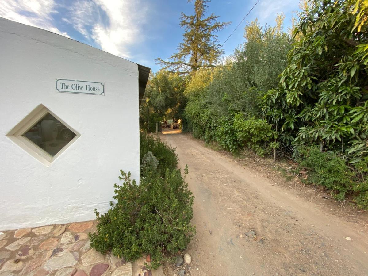 The Olive House, พรินซ์อัลเบิร์ต ภายนอก รูปภาพ